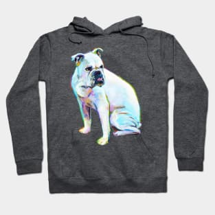 Georgia the Bulldog by Robert Phelps Hoodie